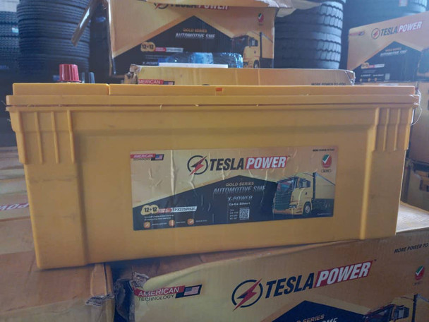 Tesla Power USA 200Ah Automotive Battery TPX225H52L